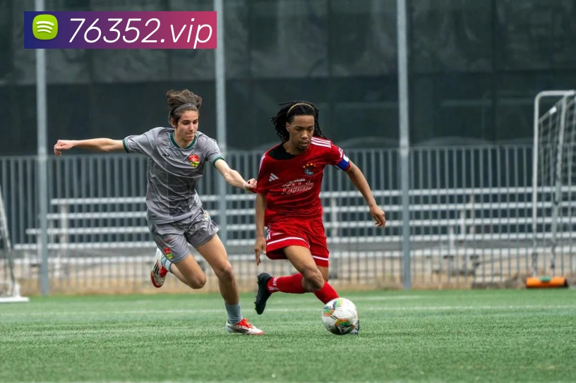 AI Risk Control